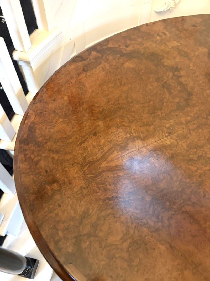 Quality Antique Victorian Burr Walnut Oval 6 Seater Dining Table on Carved Pedestal Base - Image 9